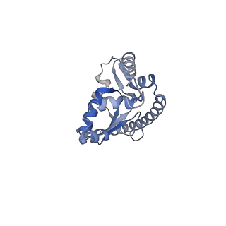 8368_5t6r_b_v1-9
Nmd3 is a structural mimic of eIF5A, and activates the cpGTPase Lsg1 during 60S ribosome biogenesis: 60S-Nmd3 Complex