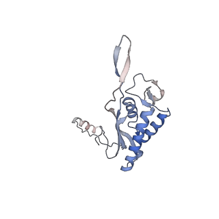 8368_5t6r_c_v1-10
Nmd3 is a structural mimic of eIF5A, and activates the cpGTPase Lsg1 during 60S ribosome biogenesis: 60S-Nmd3 Complex