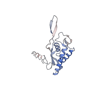 8368_5t6r_c_v1-9
Nmd3 is a structural mimic of eIF5A, and activates the cpGTPase Lsg1 during 60S ribosome biogenesis: 60S-Nmd3 Complex