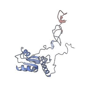 8368_5t6r_d_v1-10
Nmd3 is a structural mimic of eIF5A, and activates the cpGTPase Lsg1 during 60S ribosome biogenesis: 60S-Nmd3 Complex