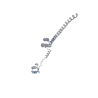 8368_5t6r_e_v1-10
Nmd3 is a structural mimic of eIF5A, and activates the cpGTPase Lsg1 during 60S ribosome biogenesis: 60S-Nmd3 Complex