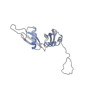 8368_5t6r_f_v1-10
Nmd3 is a structural mimic of eIF5A, and activates the cpGTPase Lsg1 during 60S ribosome biogenesis: 60S-Nmd3 Complex