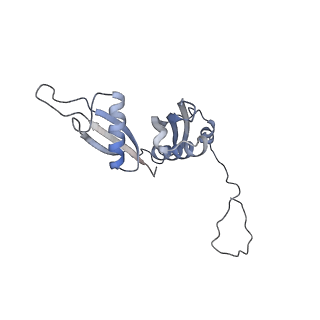 8368_5t6r_f_v1-9
Nmd3 is a structural mimic of eIF5A, and activates the cpGTPase Lsg1 during 60S ribosome biogenesis: 60S-Nmd3 Complex