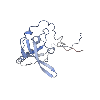 8368_5t6r_g_v1-10
Nmd3 is a structural mimic of eIF5A, and activates the cpGTPase Lsg1 during 60S ribosome biogenesis: 60S-Nmd3 Complex