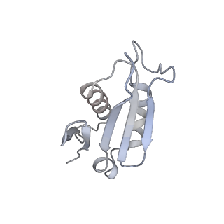 8368_5t6r_h_v1-10
Nmd3 is a structural mimic of eIF5A, and activates the cpGTPase Lsg1 during 60S ribosome biogenesis: 60S-Nmd3 Complex