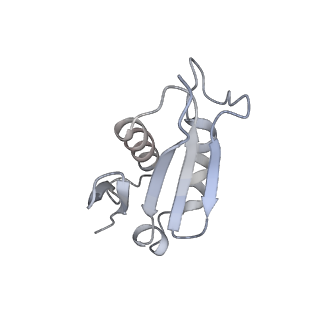 8368_5t6r_h_v1-9
Nmd3 is a structural mimic of eIF5A, and activates the cpGTPase Lsg1 during 60S ribosome biogenesis: 60S-Nmd3 Complex