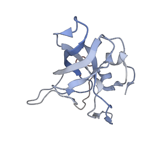 8368_5t6r_i_v1-10
Nmd3 is a structural mimic of eIF5A, and activates the cpGTPase Lsg1 during 60S ribosome biogenesis: 60S-Nmd3 Complex