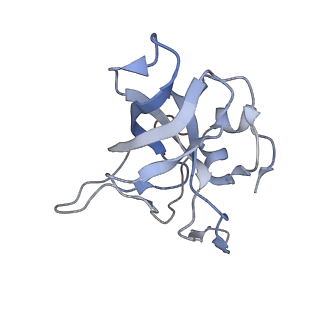 8368_5t6r_i_v1-9
Nmd3 is a structural mimic of eIF5A, and activates the cpGTPase Lsg1 during 60S ribosome biogenesis: 60S-Nmd3 Complex