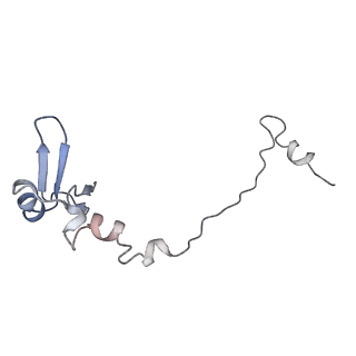 8368_5t6r_j_v1-10
Nmd3 is a structural mimic of eIF5A, and activates the cpGTPase Lsg1 during 60S ribosome biogenesis: 60S-Nmd3 Complex