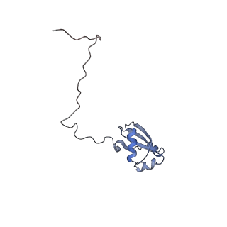 8368_5t6r_k_v1-10
Nmd3 is a structural mimic of eIF5A, and activates the cpGTPase Lsg1 during 60S ribosome biogenesis: 60S-Nmd3 Complex