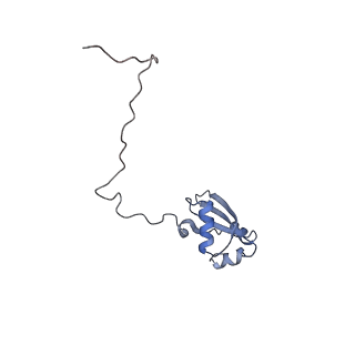 8368_5t6r_k_v1-9
Nmd3 is a structural mimic of eIF5A, and activates the cpGTPase Lsg1 during 60S ribosome biogenesis: 60S-Nmd3 Complex