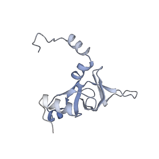 8368_5t6r_l_v1-9
Nmd3 is a structural mimic of eIF5A, and activates the cpGTPase Lsg1 during 60S ribosome biogenesis: 60S-Nmd3 Complex