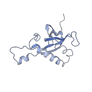 8368_5t6r_m_v1-10
Nmd3 is a structural mimic of eIF5A, and activates the cpGTPase Lsg1 during 60S ribosome biogenesis: 60S-Nmd3 Complex