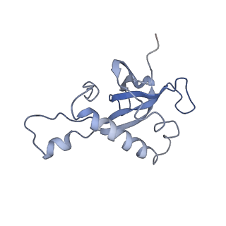 8368_5t6r_m_v1-9
Nmd3 is a structural mimic of eIF5A, and activates the cpGTPase Lsg1 during 60S ribosome biogenesis: 60S-Nmd3 Complex