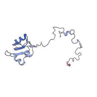 8368_5t6r_n_v1-10
Nmd3 is a structural mimic of eIF5A, and activates the cpGTPase Lsg1 during 60S ribosome biogenesis: 60S-Nmd3 Complex