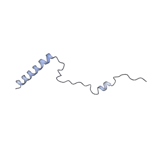 8368_5t6r_o_v1-9
Nmd3 is a structural mimic of eIF5A, and activates the cpGTPase Lsg1 during 60S ribosome biogenesis: 60S-Nmd3 Complex