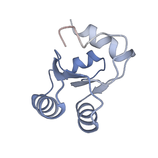 8368_5t6r_p_v1-10
Nmd3 is a structural mimic of eIF5A, and activates the cpGTPase Lsg1 during 60S ribosome biogenesis: 60S-Nmd3 Complex