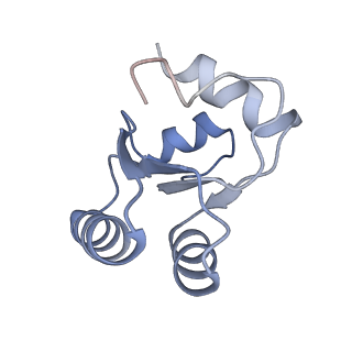 8368_5t6r_p_v1-9
Nmd3 is a structural mimic of eIF5A, and activates the cpGTPase Lsg1 during 60S ribosome biogenesis: 60S-Nmd3 Complex
