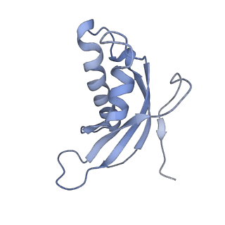 8368_5t6r_q_v1-10
Nmd3 is a structural mimic of eIF5A, and activates the cpGTPase Lsg1 during 60S ribosome biogenesis: 60S-Nmd3 Complex