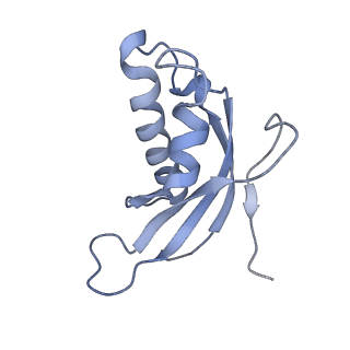 8368_5t6r_q_v1-9
Nmd3 is a structural mimic of eIF5A, and activates the cpGTPase Lsg1 during 60S ribosome biogenesis: 60S-Nmd3 Complex