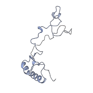 8368_5t6r_r_v1-10
Nmd3 is a structural mimic of eIF5A, and activates the cpGTPase Lsg1 during 60S ribosome biogenesis: 60S-Nmd3 Complex