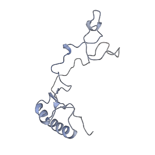 8368_5t6r_r_v1-9
Nmd3 is a structural mimic of eIF5A, and activates the cpGTPase Lsg1 during 60S ribosome biogenesis: 60S-Nmd3 Complex