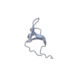 8368_5t6r_s_v1-10
Nmd3 is a structural mimic of eIF5A, and activates the cpGTPase Lsg1 during 60S ribosome biogenesis: 60S-Nmd3 Complex