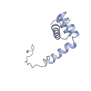 8368_5t6r_v_v1-10
Nmd3 is a structural mimic of eIF5A, and activates the cpGTPase Lsg1 during 60S ribosome biogenesis: 60S-Nmd3 Complex