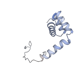 8368_5t6r_v_v1-9
Nmd3 is a structural mimic of eIF5A, and activates the cpGTPase Lsg1 during 60S ribosome biogenesis: 60S-Nmd3 Complex