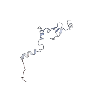 8368_5t6r_w_v1-10
Nmd3 is a structural mimic of eIF5A, and activates the cpGTPase Lsg1 during 60S ribosome biogenesis: 60S-Nmd3 Complex