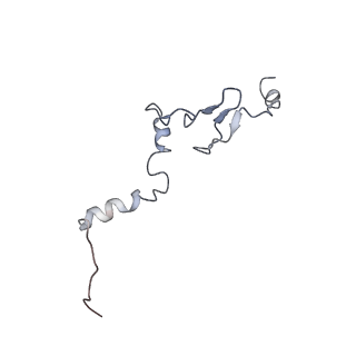 8368_5t6r_w_v1-9
Nmd3 is a structural mimic of eIF5A, and activates the cpGTPase Lsg1 during 60S ribosome biogenesis: 60S-Nmd3 Complex
