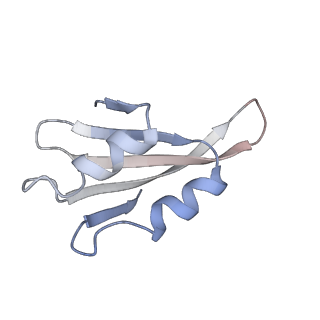 8368_5t6r_x_v1-10
Nmd3 is a structural mimic of eIF5A, and activates the cpGTPase Lsg1 during 60S ribosome biogenesis: 60S-Nmd3 Complex