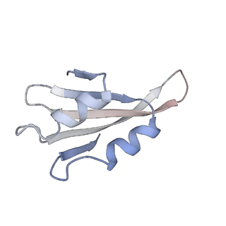 8368_5t6r_x_v1-9
Nmd3 is a structural mimic of eIF5A, and activates the cpGTPase Lsg1 during 60S ribosome biogenesis: 60S-Nmd3 Complex