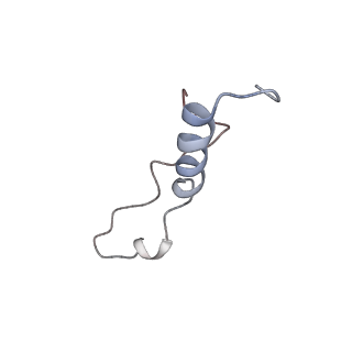 8368_5t6r_y_v1-10
Nmd3 is a structural mimic of eIF5A, and activates the cpGTPase Lsg1 during 60S ribosome biogenesis: 60S-Nmd3 Complex