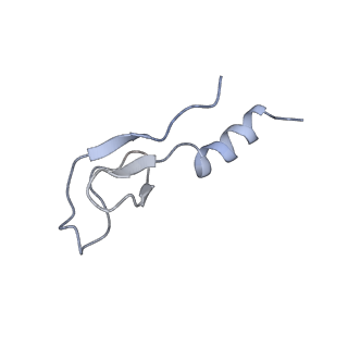 8368_5t6r_z_v1-10
Nmd3 is a structural mimic of eIF5A, and activates the cpGTPase Lsg1 during 60S ribosome biogenesis: 60S-Nmd3 Complex