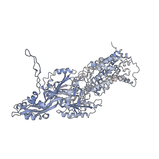 10371_6t7s_J_v1-1
MexB structure solved by cryo-EM in nanodisc in absence of its protein partners