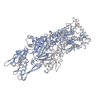 10371_6t7s_K_v1-1
MexB structure solved by cryo-EM in nanodisc in absence of its protein partners