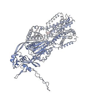 10371_6t7s_L_v1-1
MexB structure solved by cryo-EM in nanodisc in absence of its protein partners