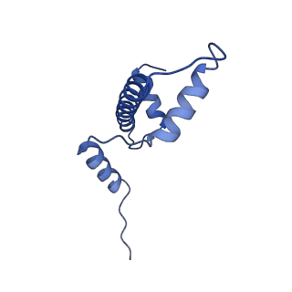 10390_6t79_A_v1-1
Structure of a human nucleosome at 3.2 A resolution