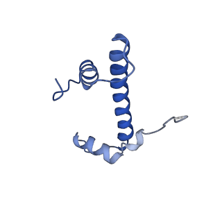 10390_6t79_B_v1-1
Structure of a human nucleosome at 3.2 A resolution