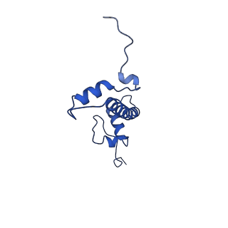 10390_6t79_C_v1-1
Structure of a human nucleosome at 3.2 A resolution