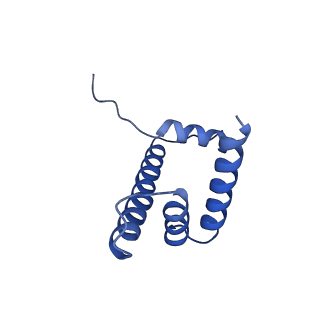 10390_6t79_D_v1-1
Structure of a human nucleosome at 3.2 A resolution