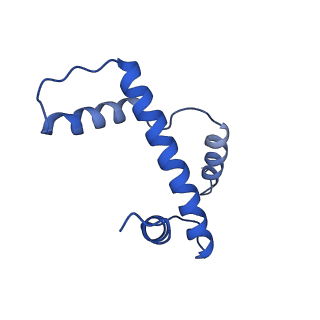 10390_6t79_E_v1-1
Structure of a human nucleosome at 3.2 A resolution