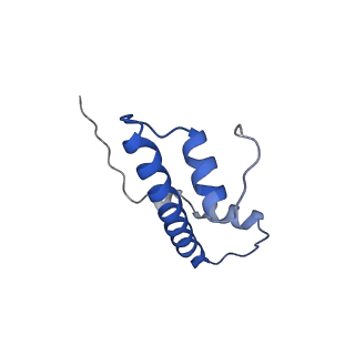 10390_6t79_F_v1-1
Structure of a human nucleosome at 3.2 A resolution