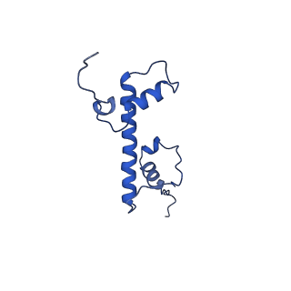10390_6t79_G_v1-1
Structure of a human nucleosome at 3.2 A resolution