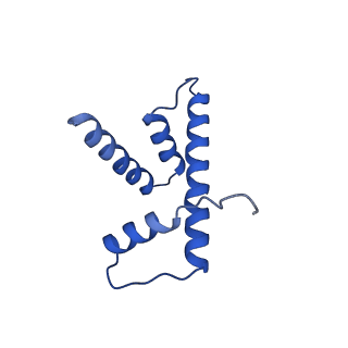 10390_6t79_H_v1-1
Structure of a human nucleosome at 3.2 A resolution