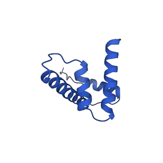 10391_6t7a_D_v1-1
Structure of human Sox11 transcription factor in complex with a nucleosome