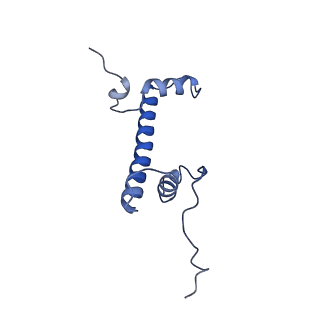 10391_6t7a_G_v1-1
Structure of human Sox11 transcription factor in complex with a nucleosome