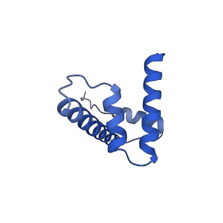 10393_6t7c_D_v1-1
Structure of two copies of human Sox11 transcription factor in complex with a nucleosome