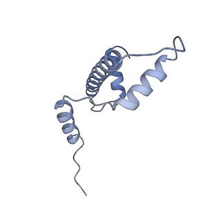 10394_6t7d_A_v1-1
Structure of human Sox11 transcription factor in complex with a nucleosome